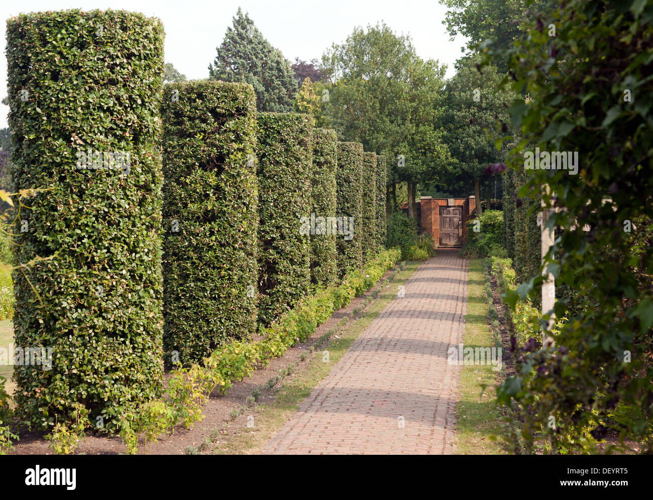 Cylindrical topiary pillars in the Secret Gardens of Sandwich, Kent Stock Photo Alamy
