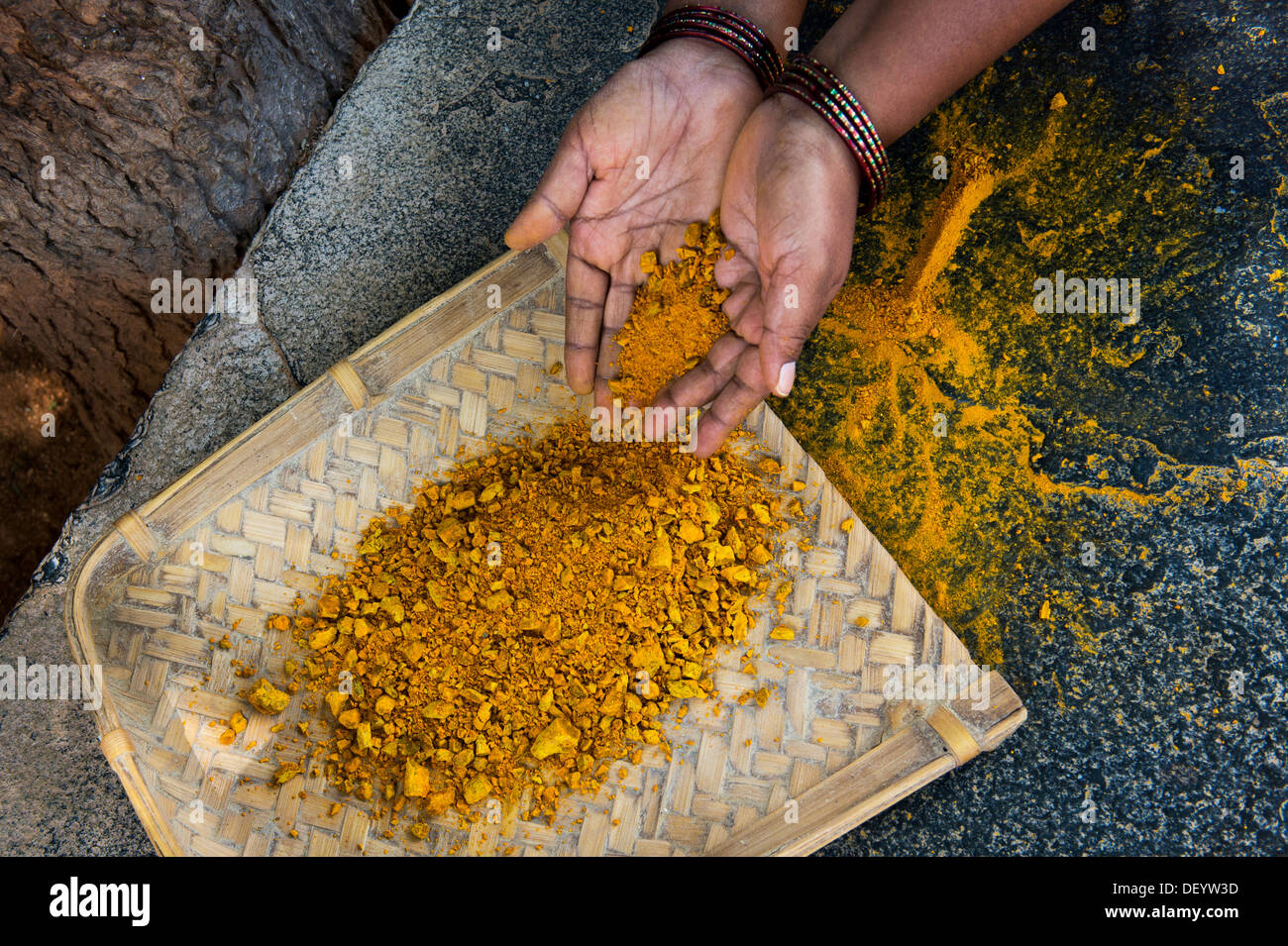 Indian womans hands with crushed turmeric roots to powder in a rural Indian village. Andhra Pradesh, India Stock Photo