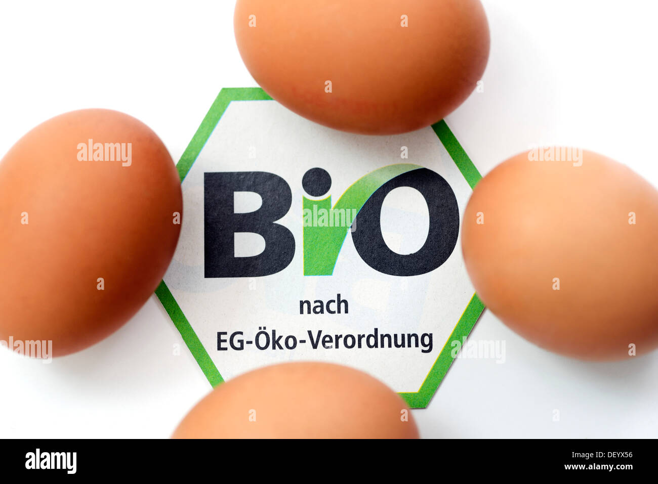 Hen's eggs with organic seal, symbolic image, Germany Stock Photo