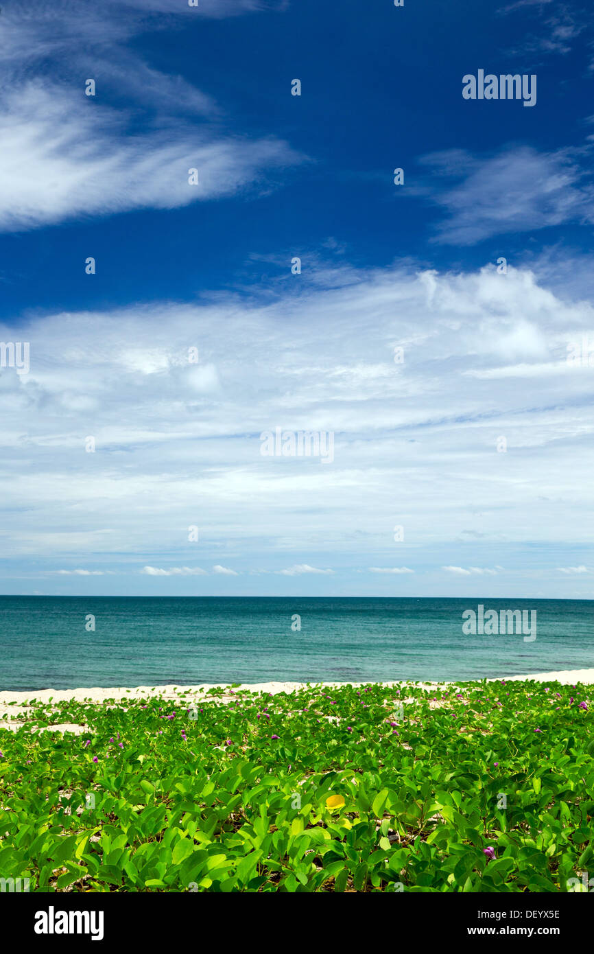 tropical sea and blue sky Stock Photo