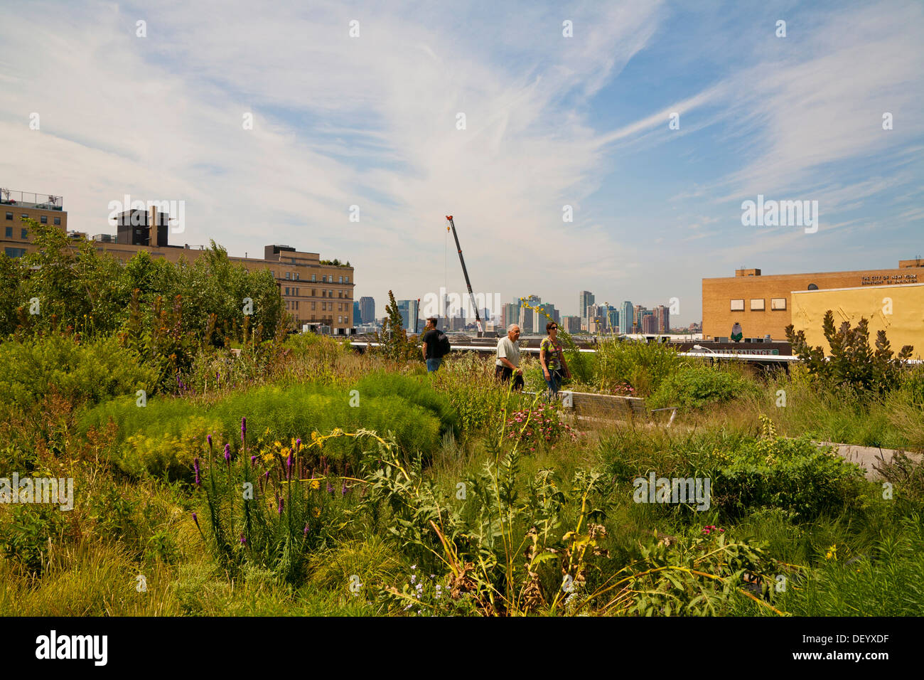 High Line Park, Lower West Side, Chelsea, Greenwich Village, Manhattan, New York City, USA Stock Photo