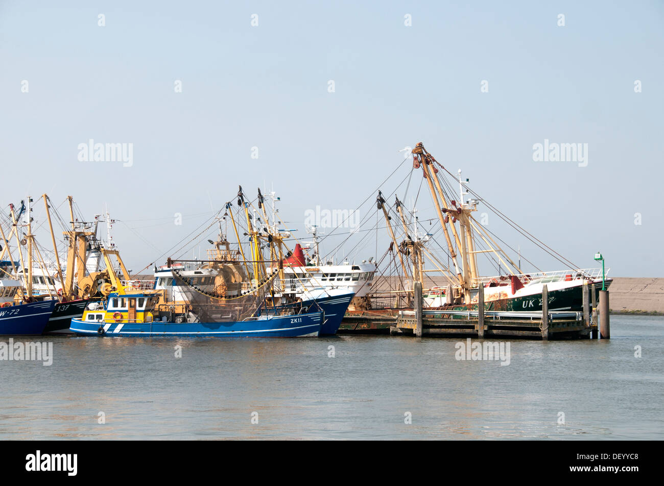 Harlingen Fishing port with a fish auction function and a home port for Harlingen en Urker cutters Netherlands Friesland Stock Photo
