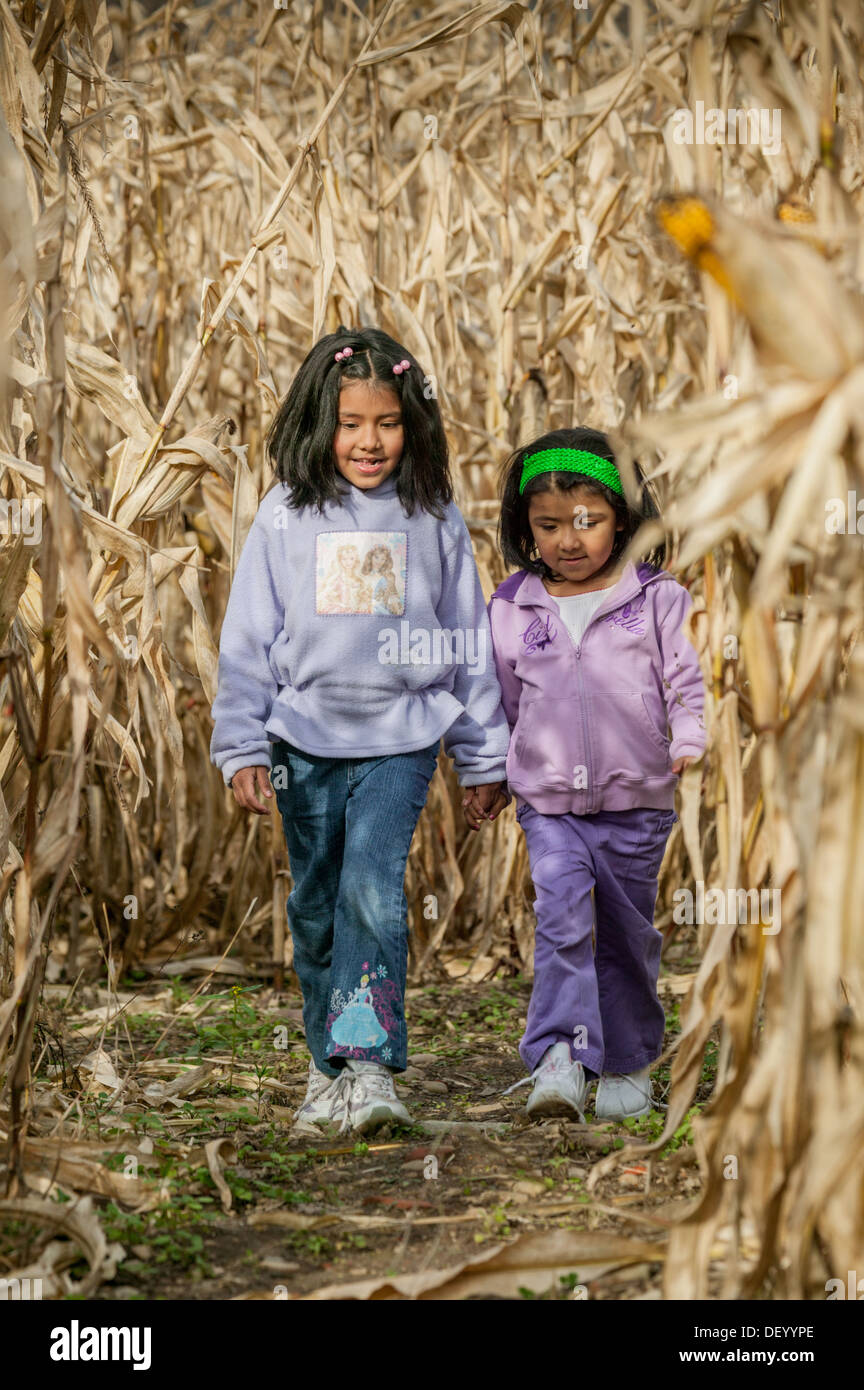 Sisters, Latina, walking in corn maze, upstate New York, Mohawk Valley Stock Photo