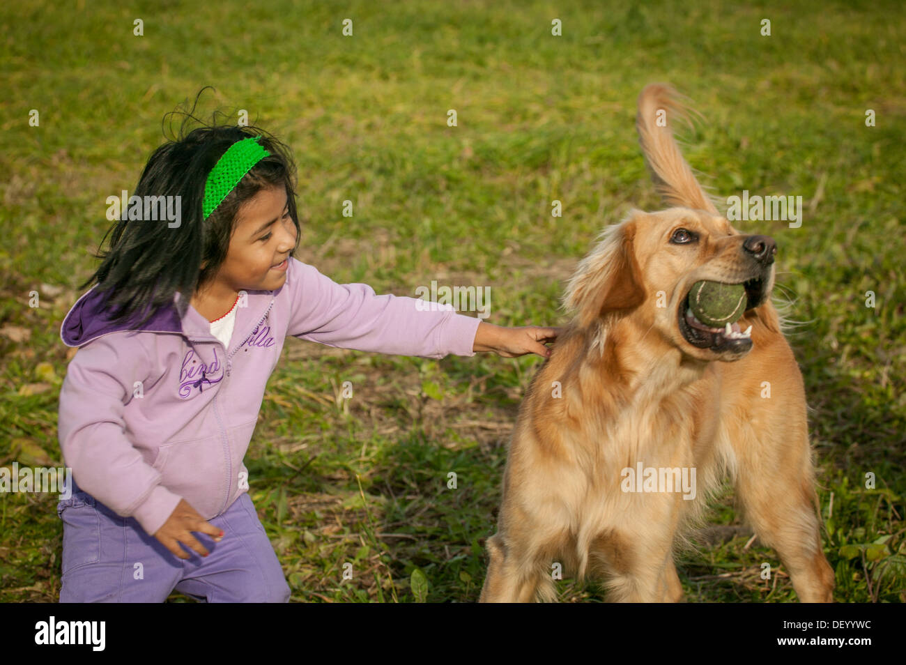 Girl, Latina, playing with family dog, golden retriever, upstate New York, Mohawk Valley Stock Photo