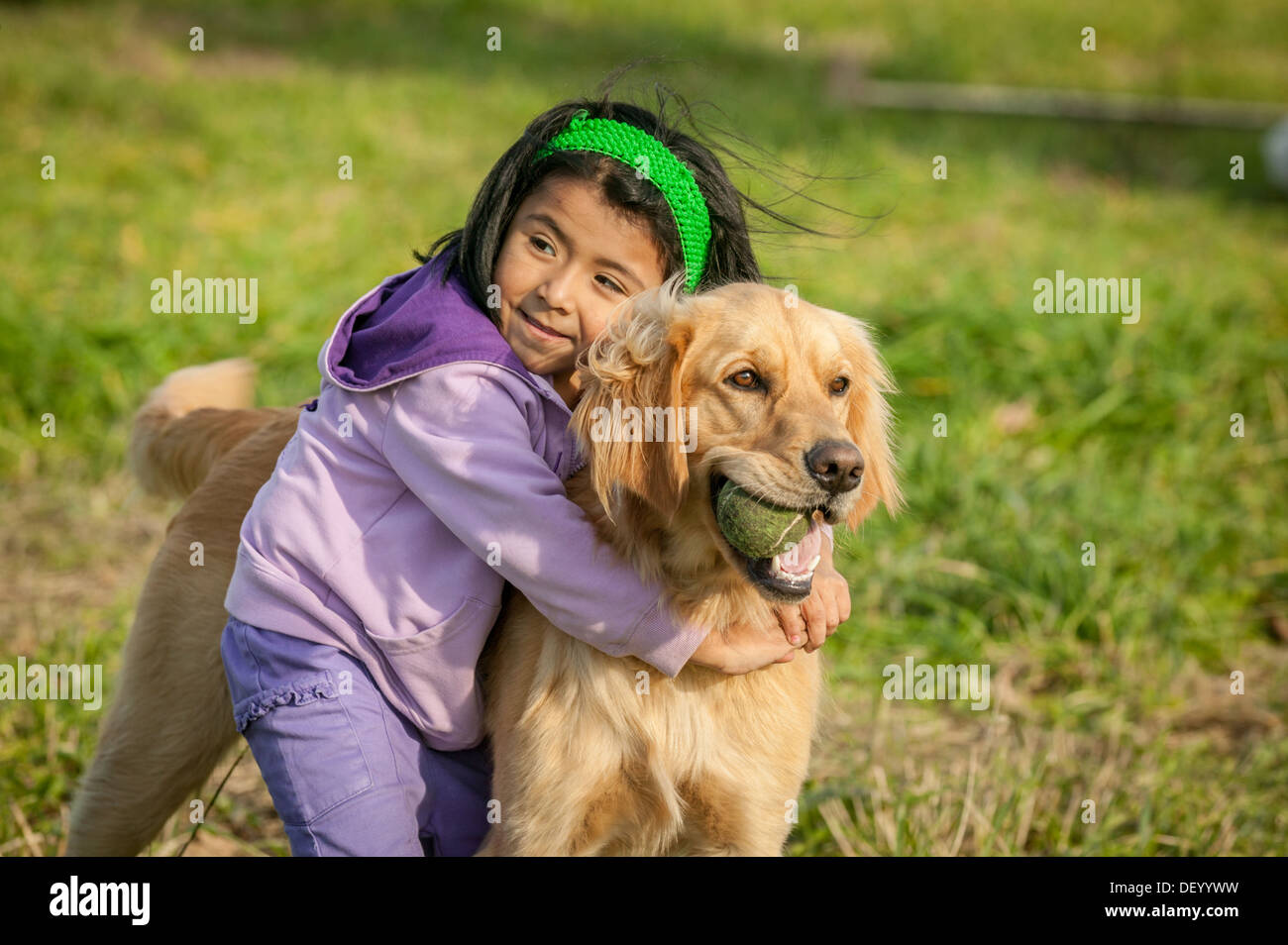 Girl, Latina, playing with family dog, golden retriever, upstate New York, Mohawk Valley Stock Photo