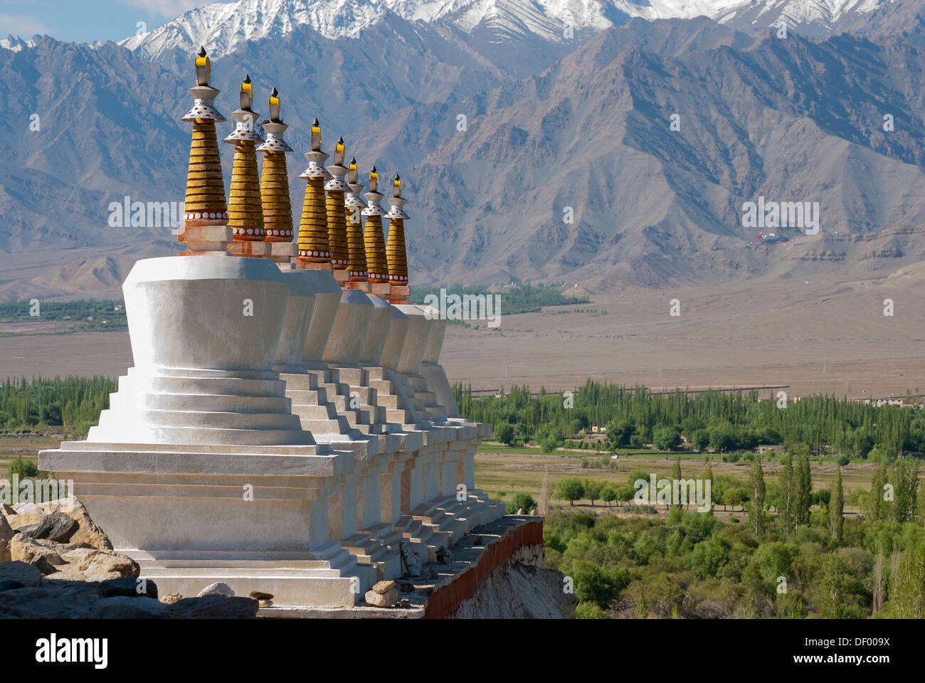 India, Jammu & Kashmir, Ladakh, white chortens with gold spires overlooking a valley near Shey Palace Stock Photo