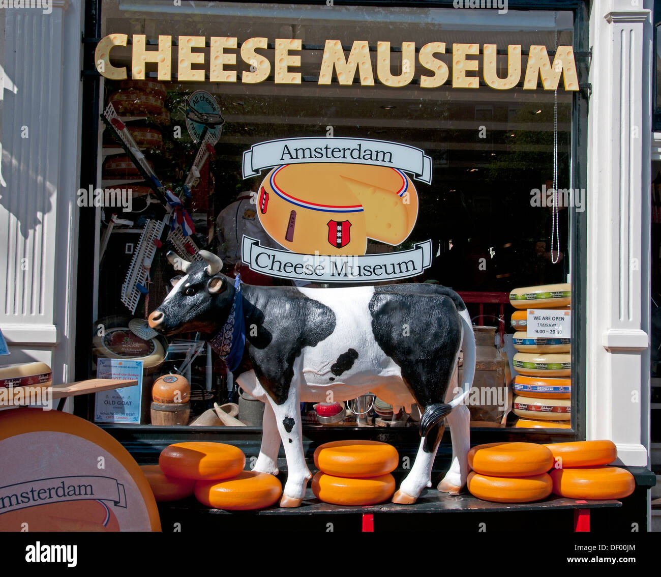 Amsterdam Cheese Museum Dutch Cow Netherlands Stock Photo