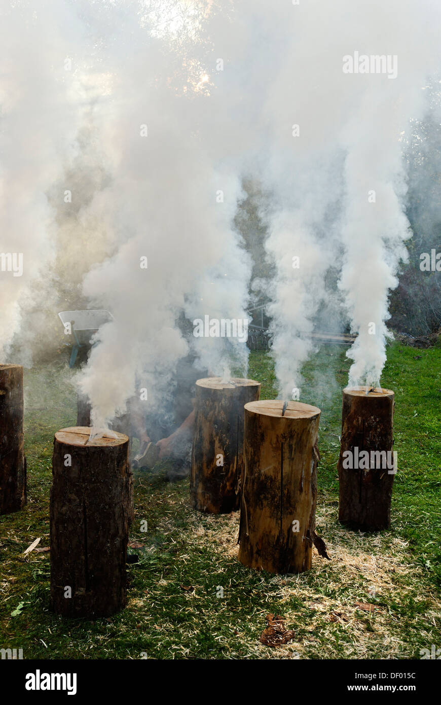Burning, smoking Swedish torches, flaming torch Stock Photo