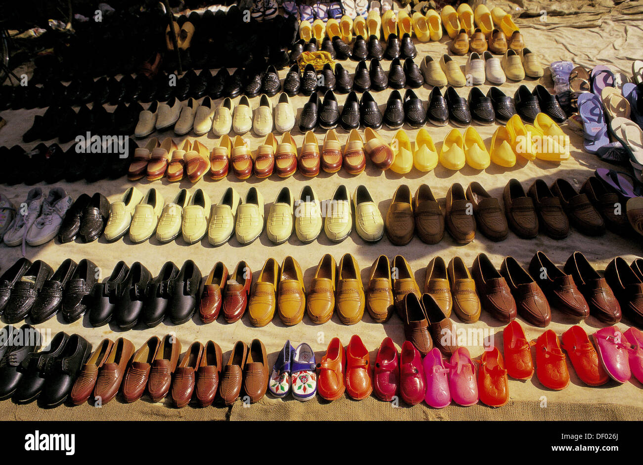 local shoes price