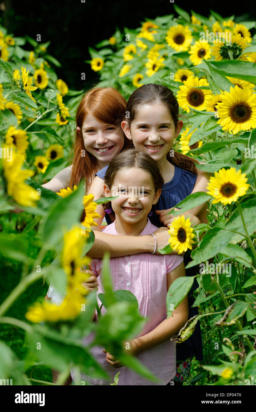 Girls in a sunflower field Stock Photo - Alamy