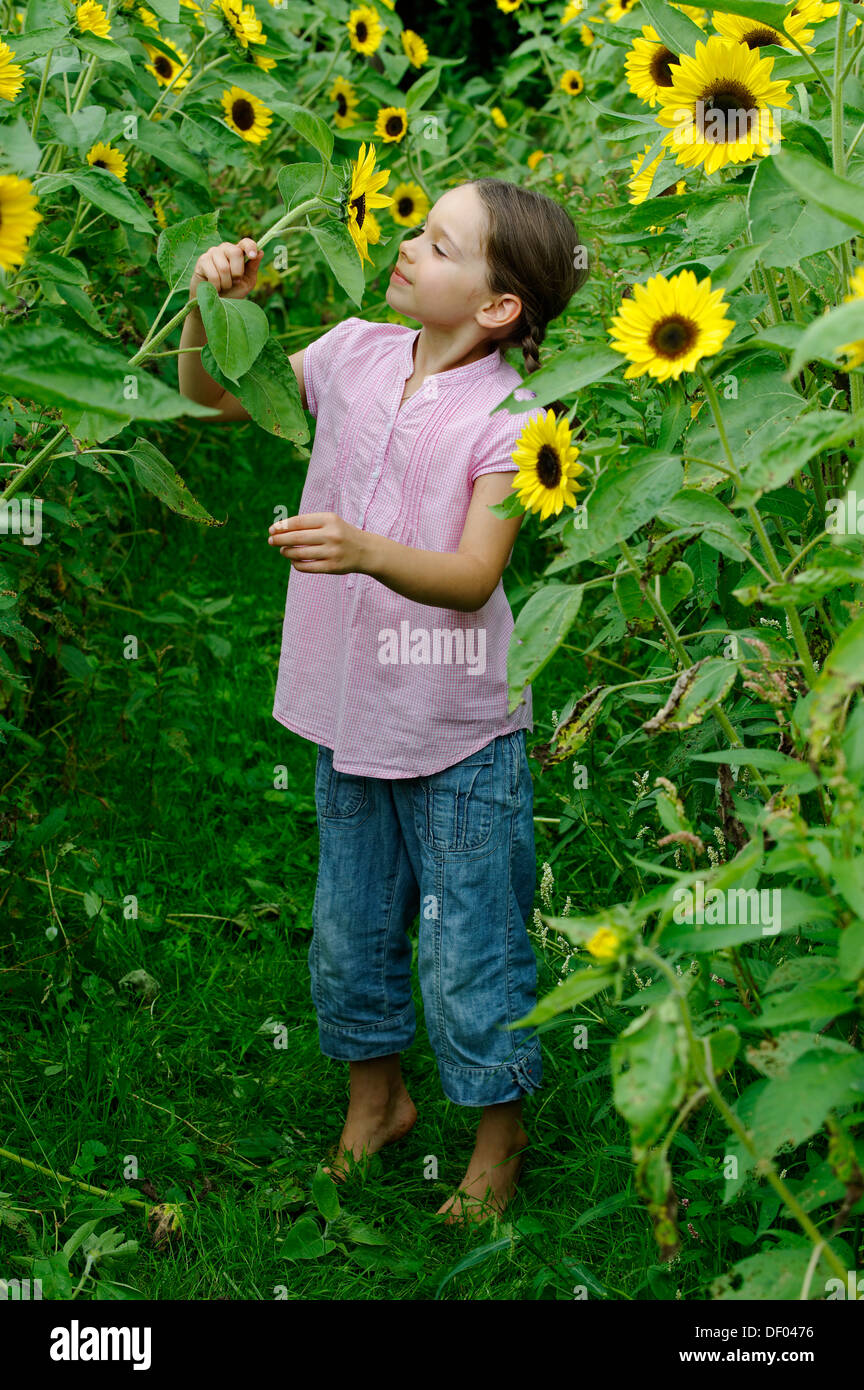 Girl in a sunflower field Stock Photo - Alamy