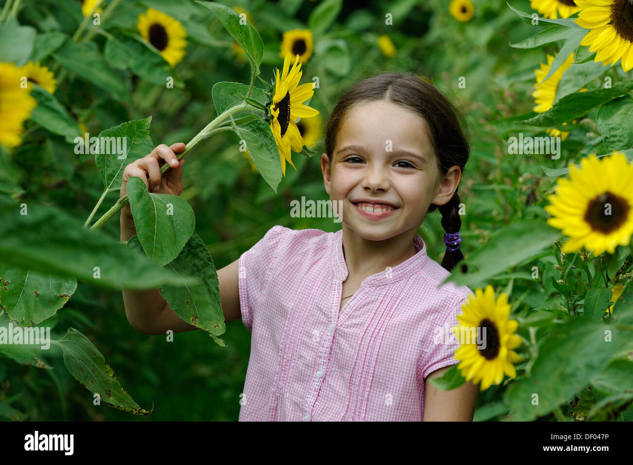 Girl in a sunflower field Stock Photo - Alamy