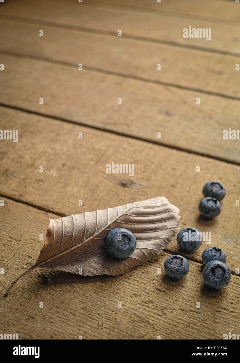 Scattered blueberries with a dried fallen leaf representing the remains of an Autumn/Fall harvest Stock Photo