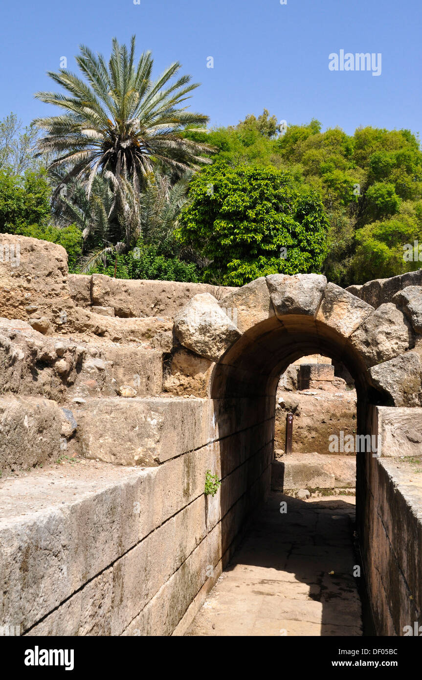 Archaeological excavation site, Banyas, Banias or Banjas Nature Reserve, Israel, Middle East, Southwest Asia, Asia Stock Photo