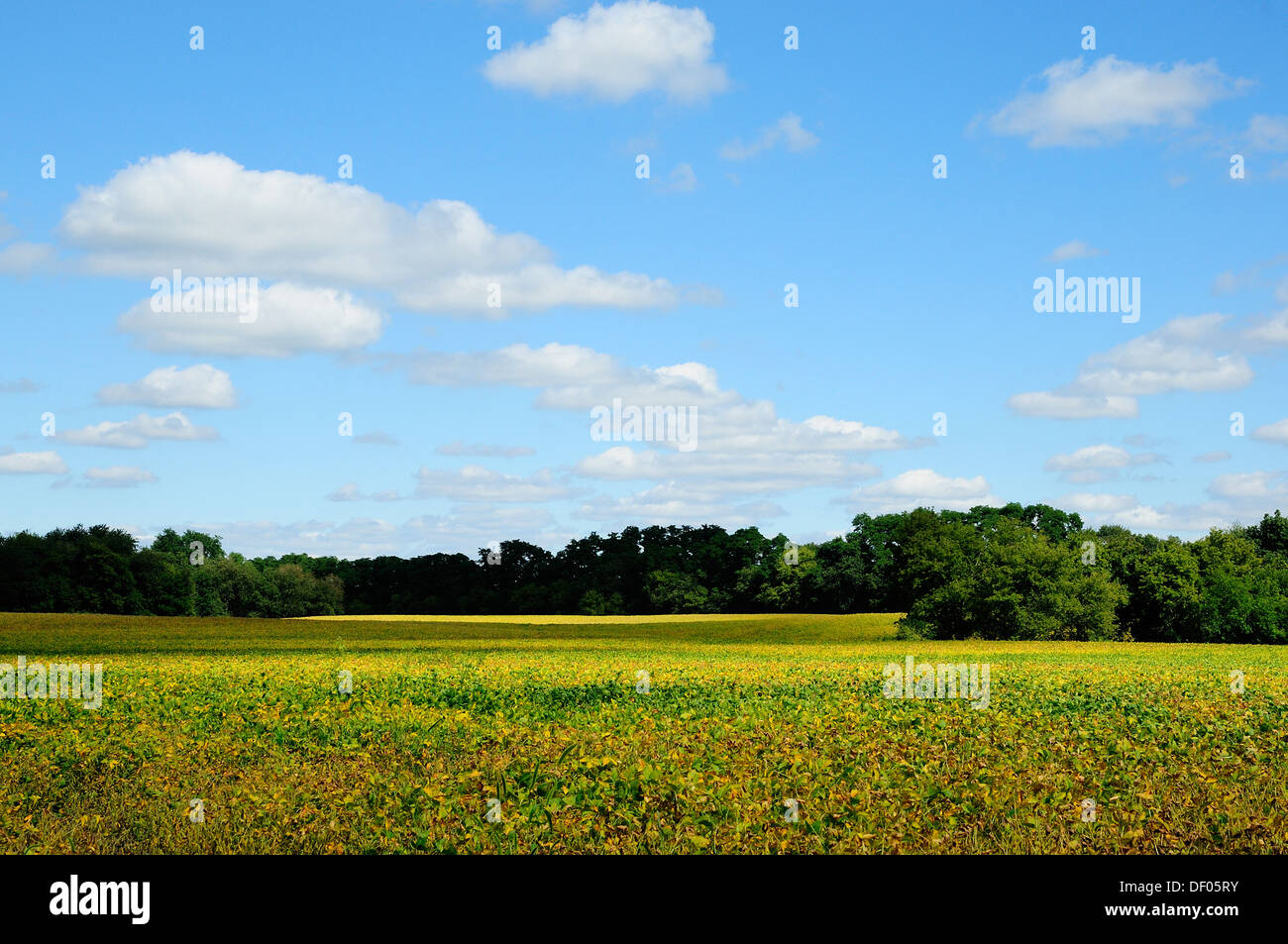 Northern Illinois Landscape Northern Illinois Landscape Stock Photo 60855535 Alamy