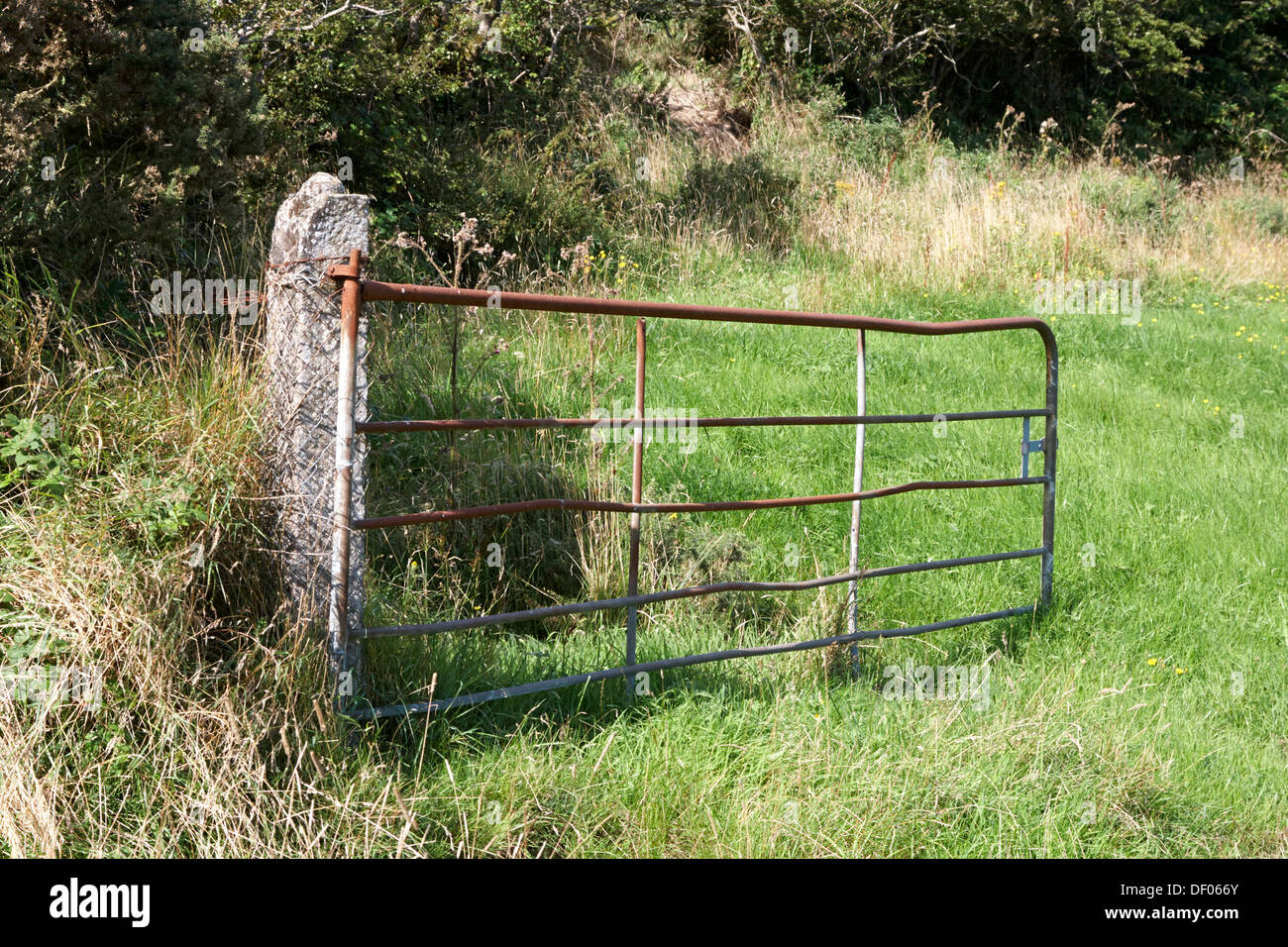 open rusty iron five bar gate field entrance in rural ireland Stock Photo