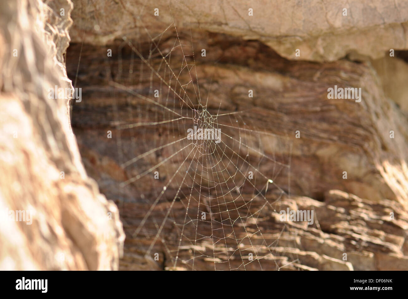 Sunlit cobweb on across gap in rocks Stock Photo - Alamy