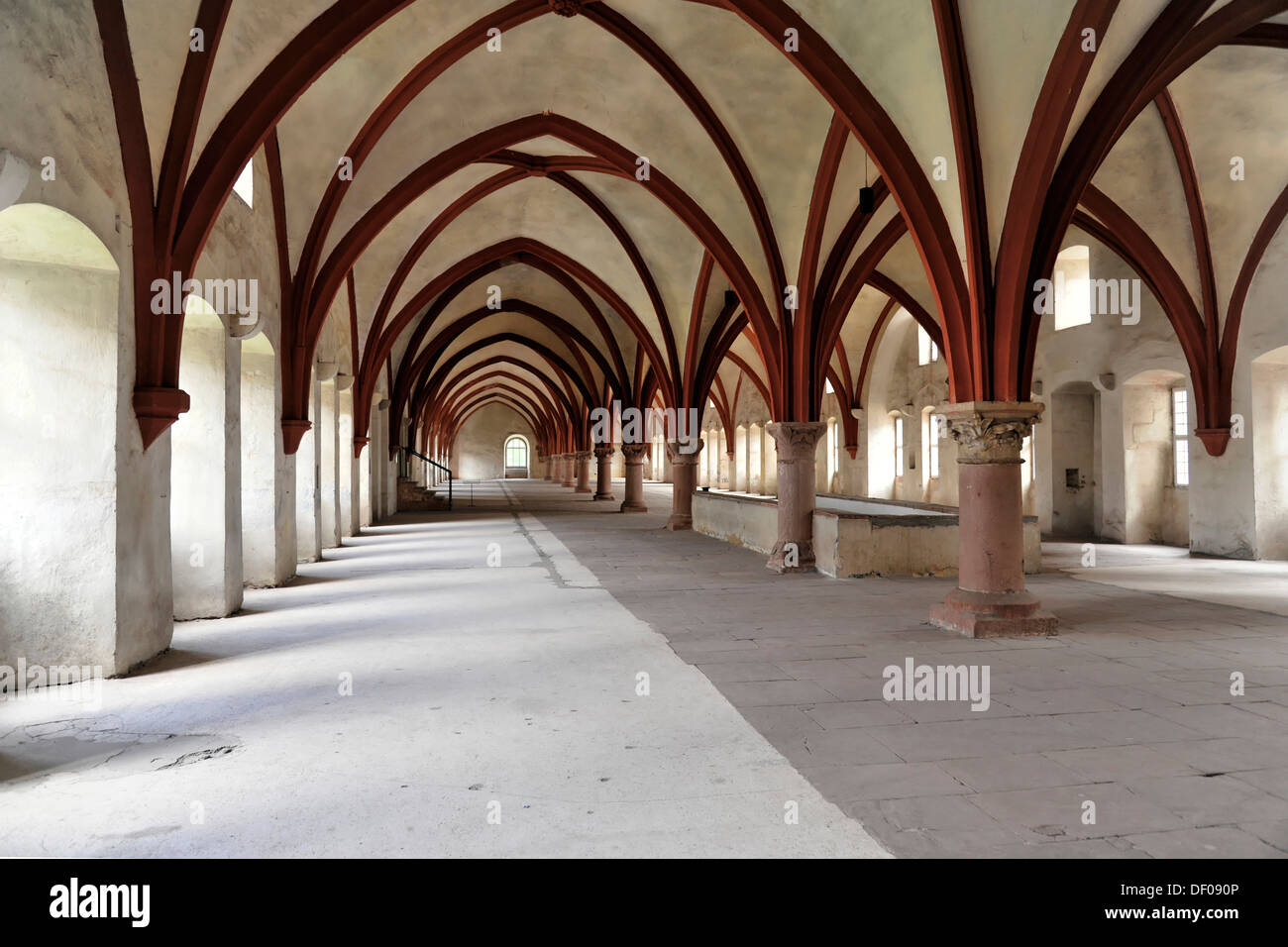 Monks' dorm room, basilica, abbey church, founded in 1136, Eberbach monastery, Eltville am Rhein, Rheingau region, Hesse Stock Photo