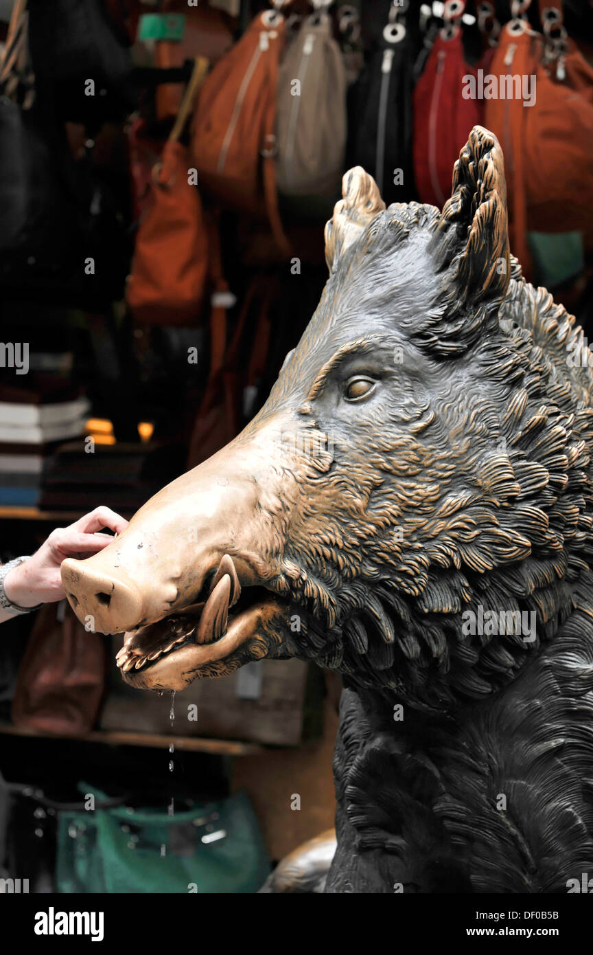 Hand touching the mouth of a bronze boar, a lucky charm, Florence, Tuscany, Italy, Europe Stock Photo