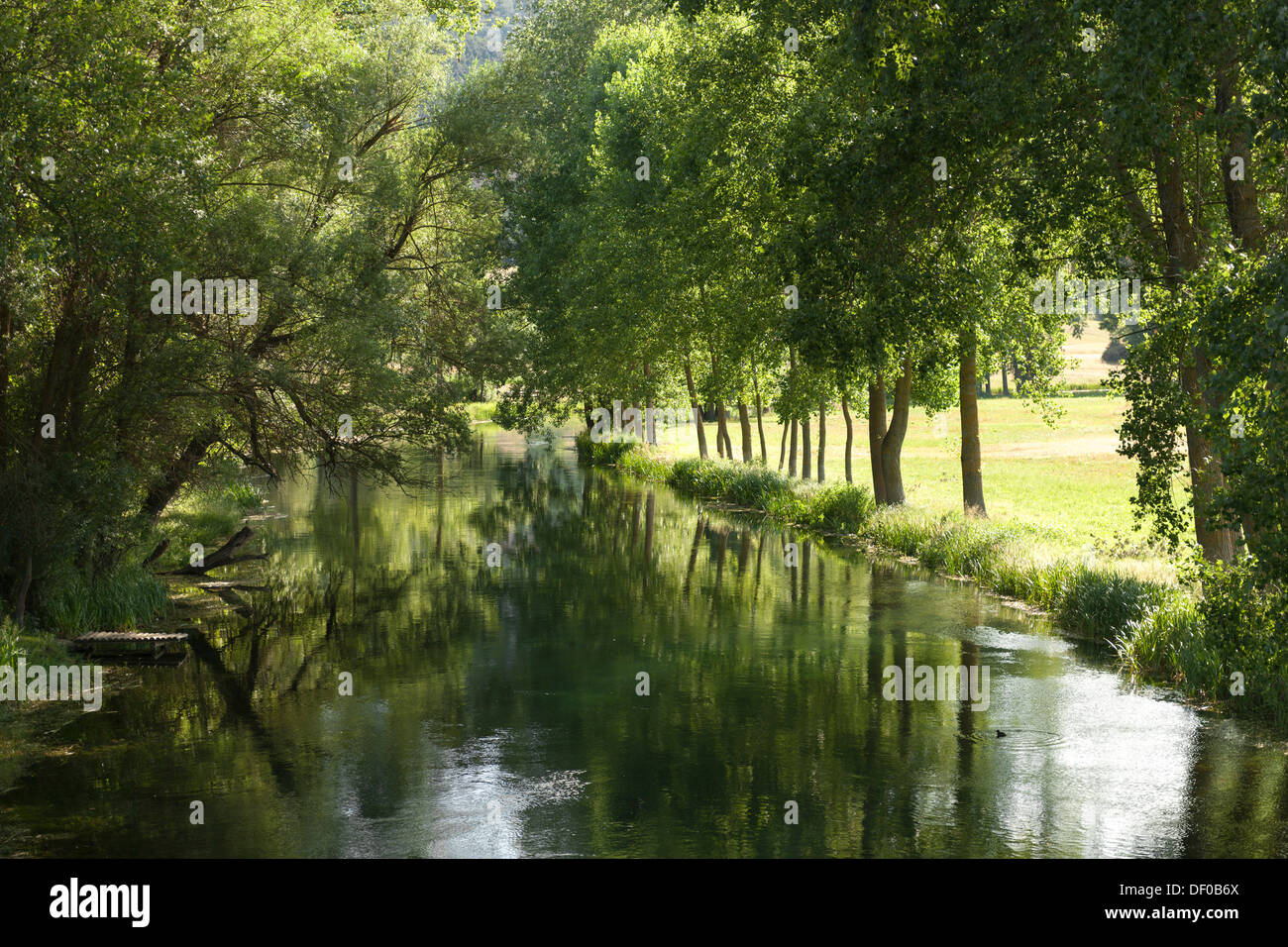 Avenue of trees along the Gacka River, Dalmatia, Croatia, Southern Europe, Europe Stock Photo