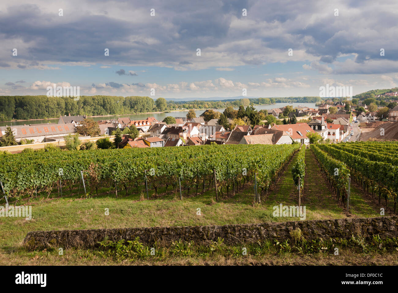 Wine town of Nierstein am Rhein, Rhineland-Palatinate Stock Photo