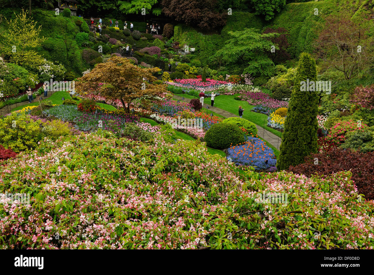 Visitors exploring Butchart Gardens Sunken Garden Victoria BC Stock