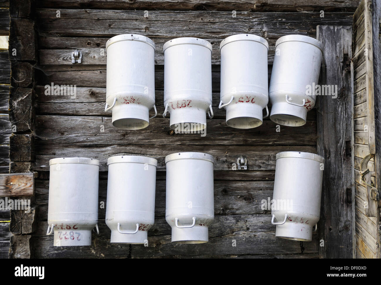 Milk cans hung up upside down on an alp farmyard, Salzburg, Austria, Europe Stock Photo