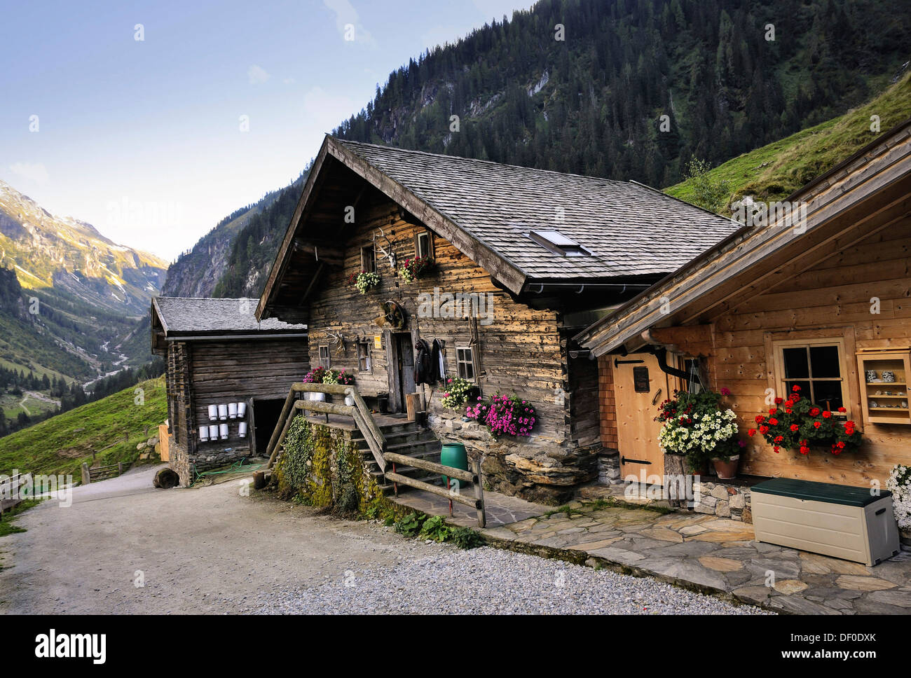 Alp hut, mountain pasture, Salzburg, Austria, Europe Stock Photo