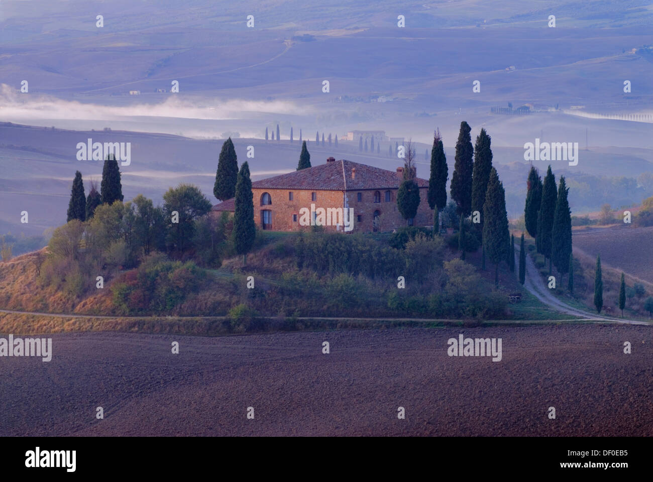 A farm house in Tuscany surrounded by olive trees and cypress trees ...