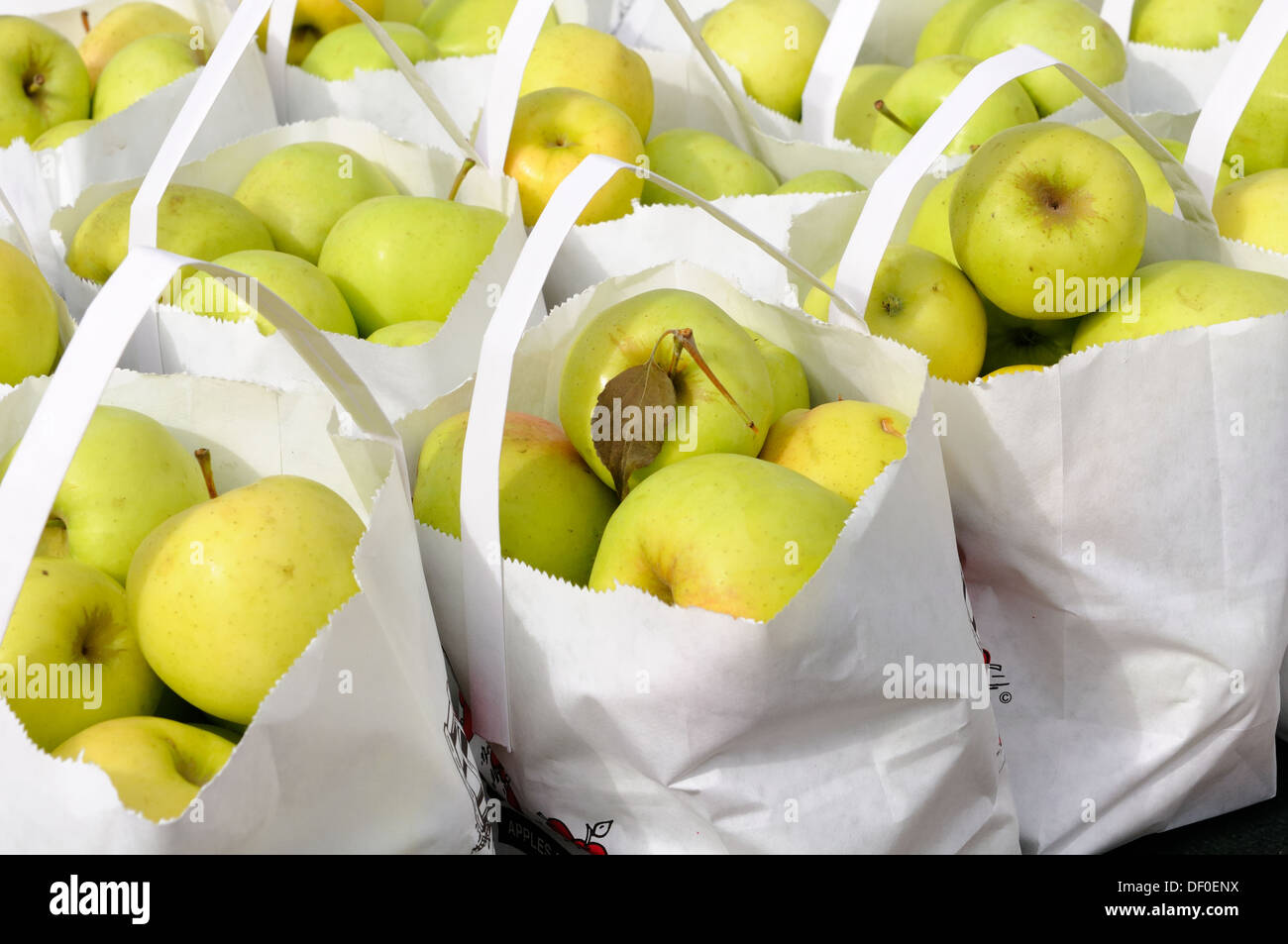 Apples on display at Milton farmers market Ontario, Canada. Stock Photo