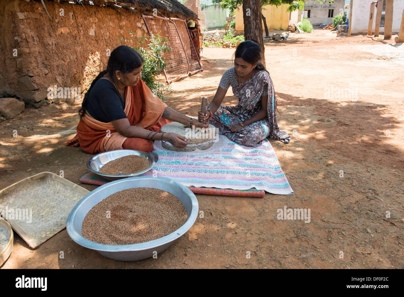 Rural Indian village women using Quern stones to grind Finger Millet seed / Ragi seeds into Ragi flour. Andhra Pradesh. India Stock Photo