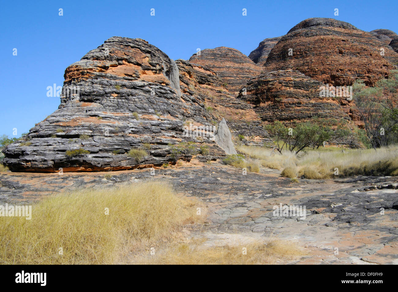 Purnululu National Park, Bungle Bungles, Purnululu Nationalpark, Kimberley Plateau, Western Australia, Australia Stock Photo