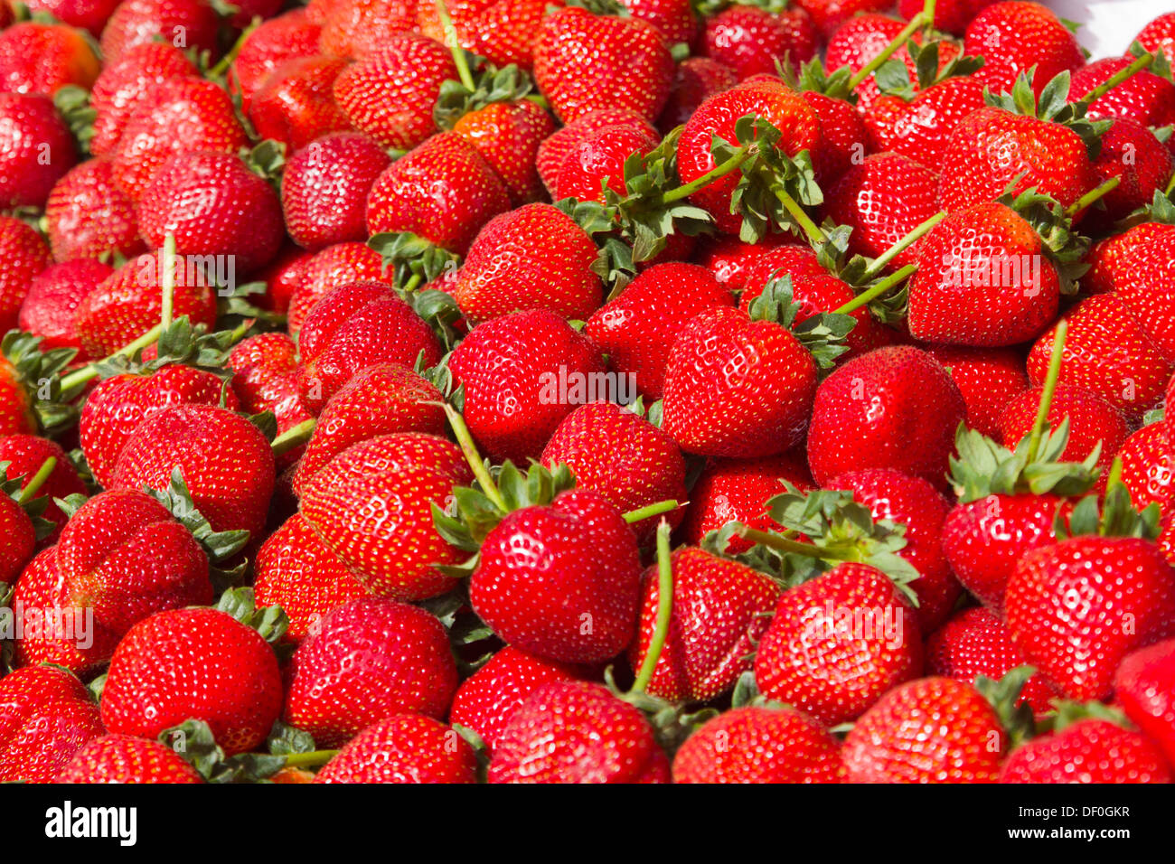 strawberry outdoor Stock Photo