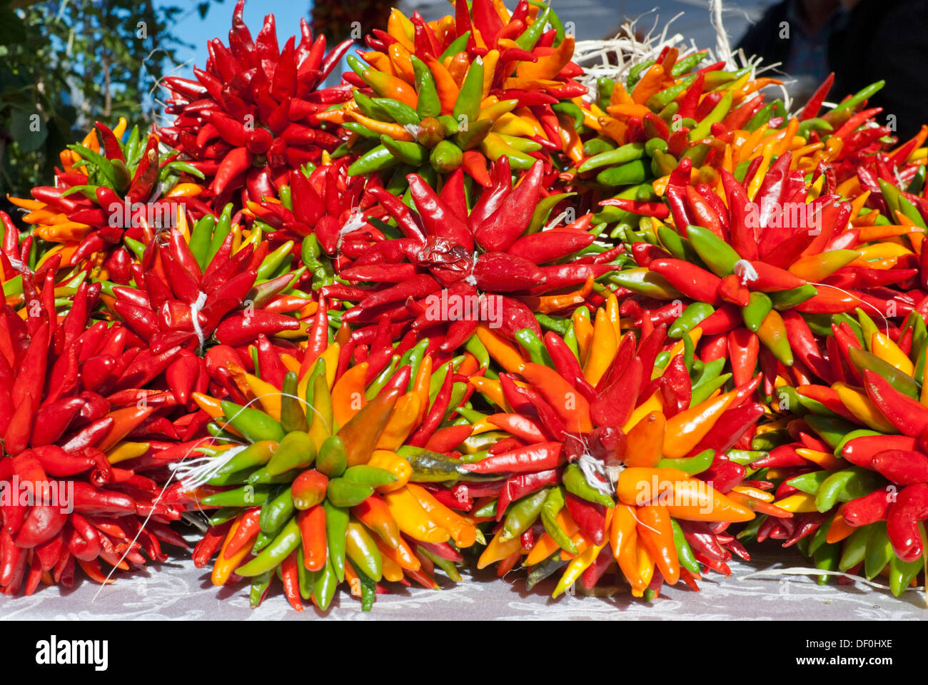 Chili peppers line tables at the Farmer's Market in Santa Fe. Stock Photo