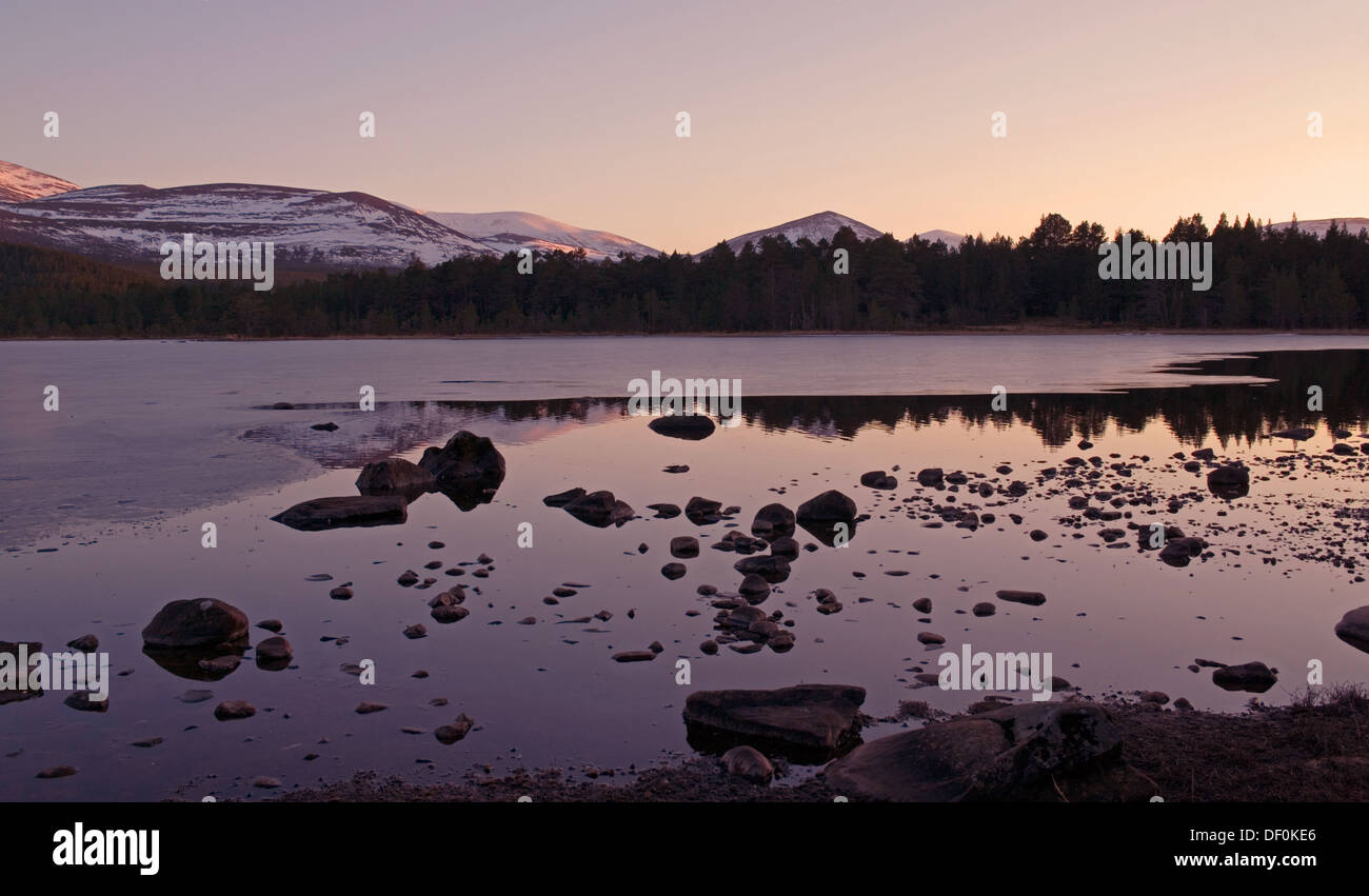 Calm winter evening, Loch Morlich near Aviemore, Glenmore Forest Park, Cairngorms National Park, Scottish Highlands, Scotland UK Stock Photo