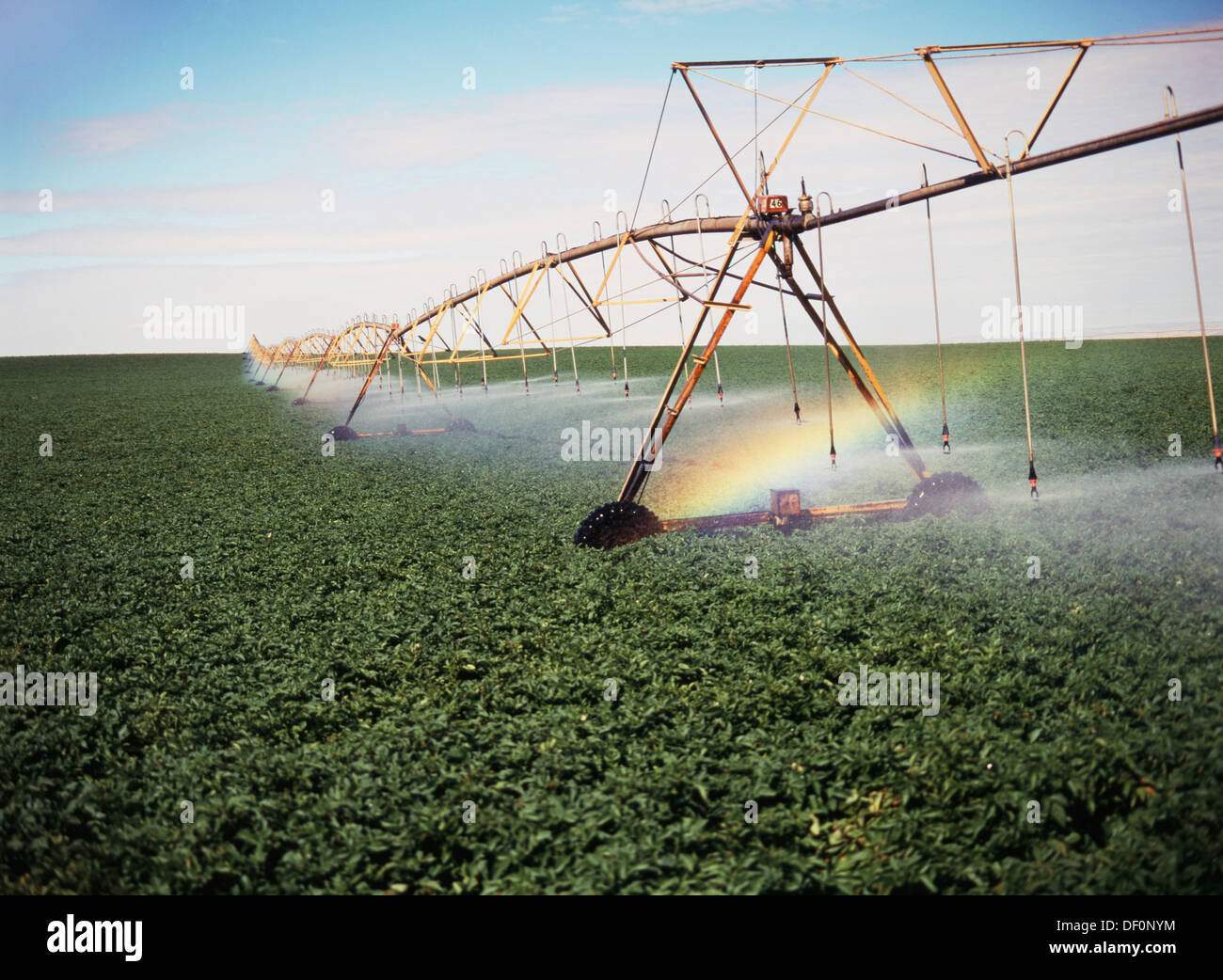 Sprinkler system in field Stock Photo - Alamy