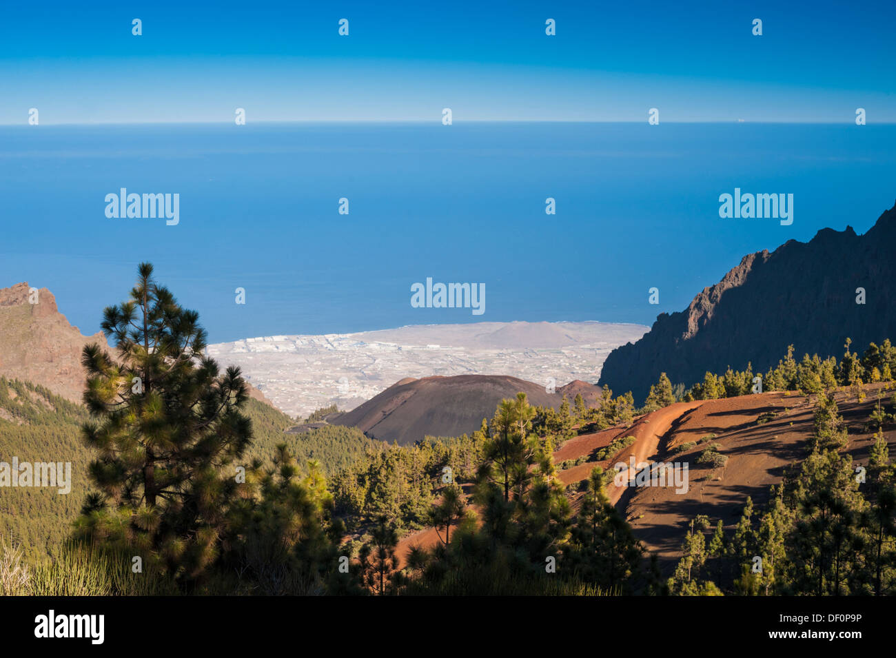 Pedro gil hi-res stock photography and images - Alamy