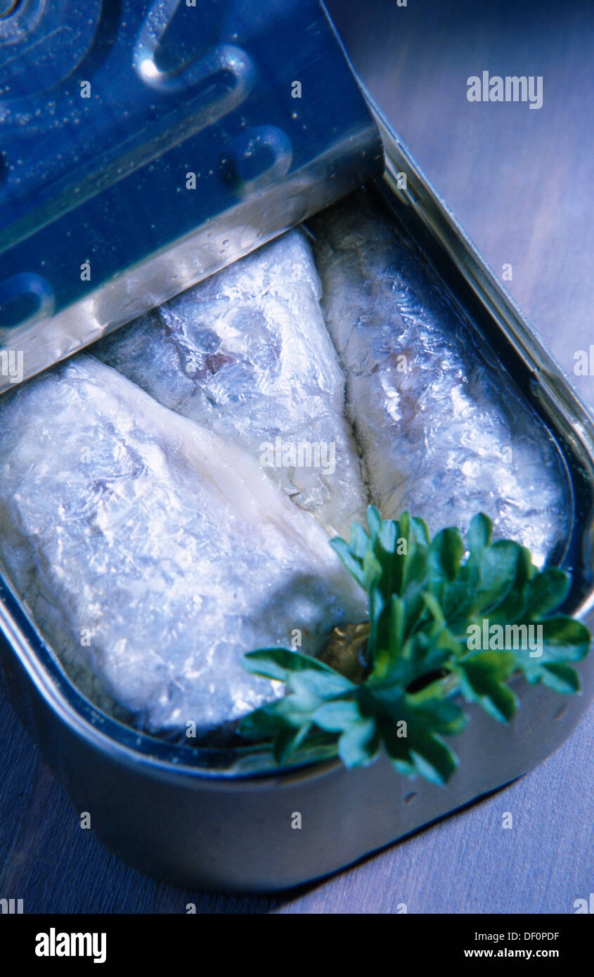 sardines in olive oil Stock Photo Alamy