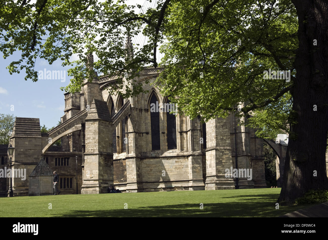 Cathedral through the Canopy of trees Stock Photo - Alamy