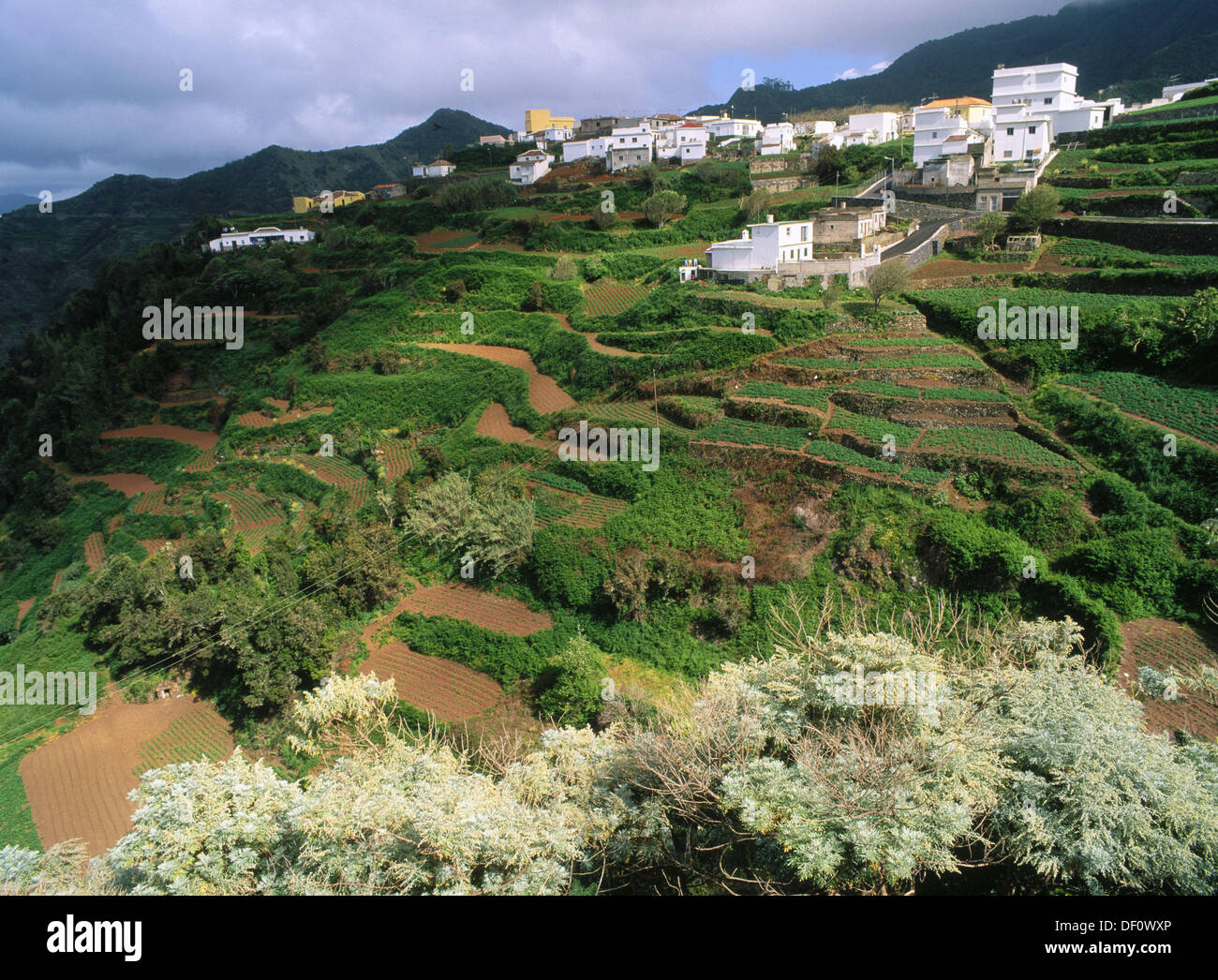 Küste Botschaft Beschreiben las carboneras tenerife Fähigkeit Hahn Ziemlich