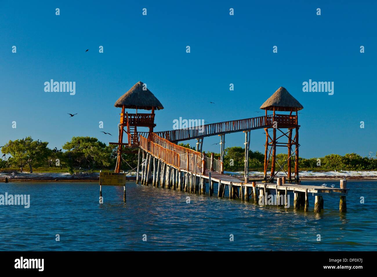 Bird Island, Holbox Island, State Quntana Roo, Yucatan Peninsula