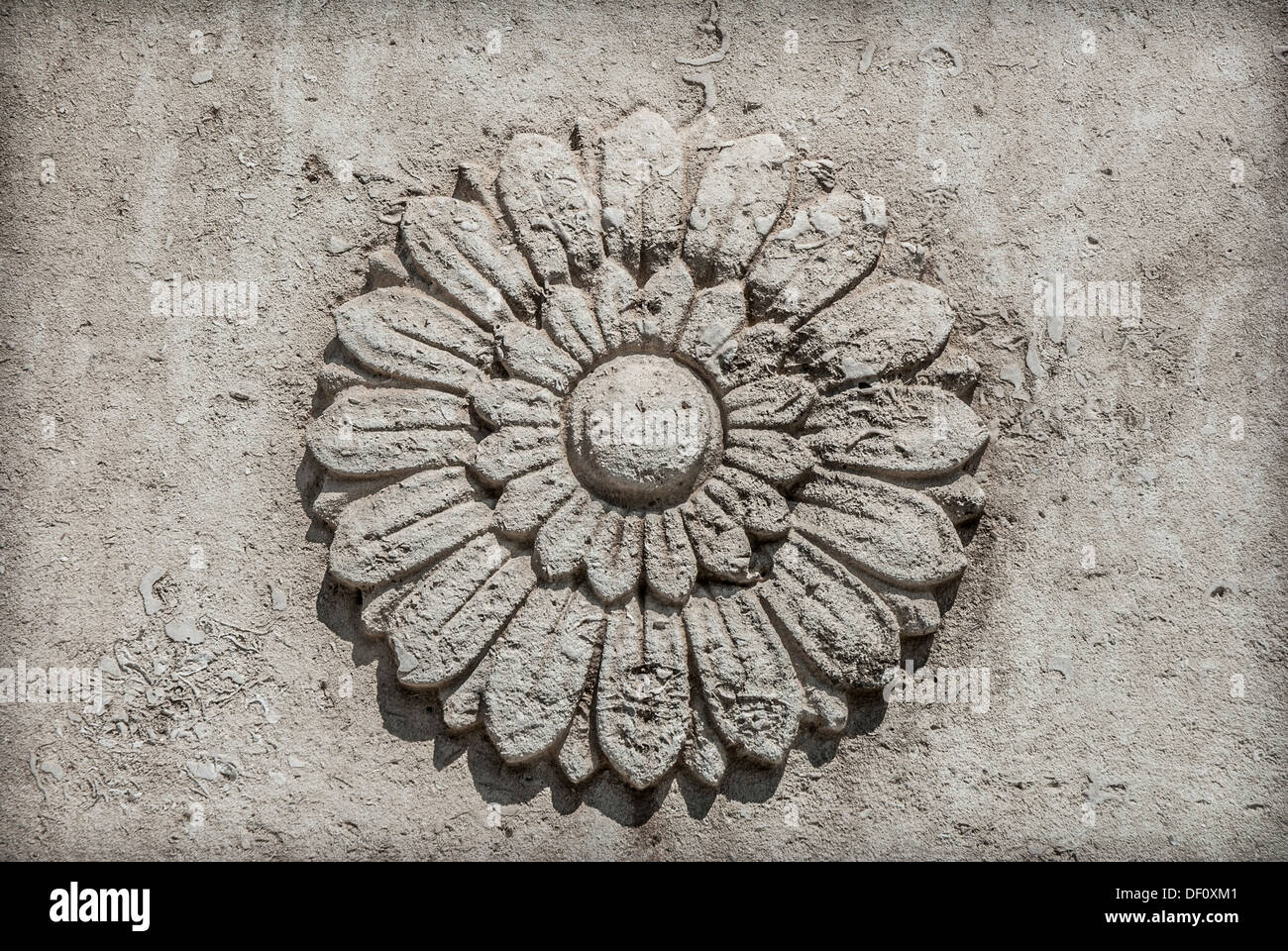 Sunflower motif in limestone showing detail of foraminifera. Stock Photo