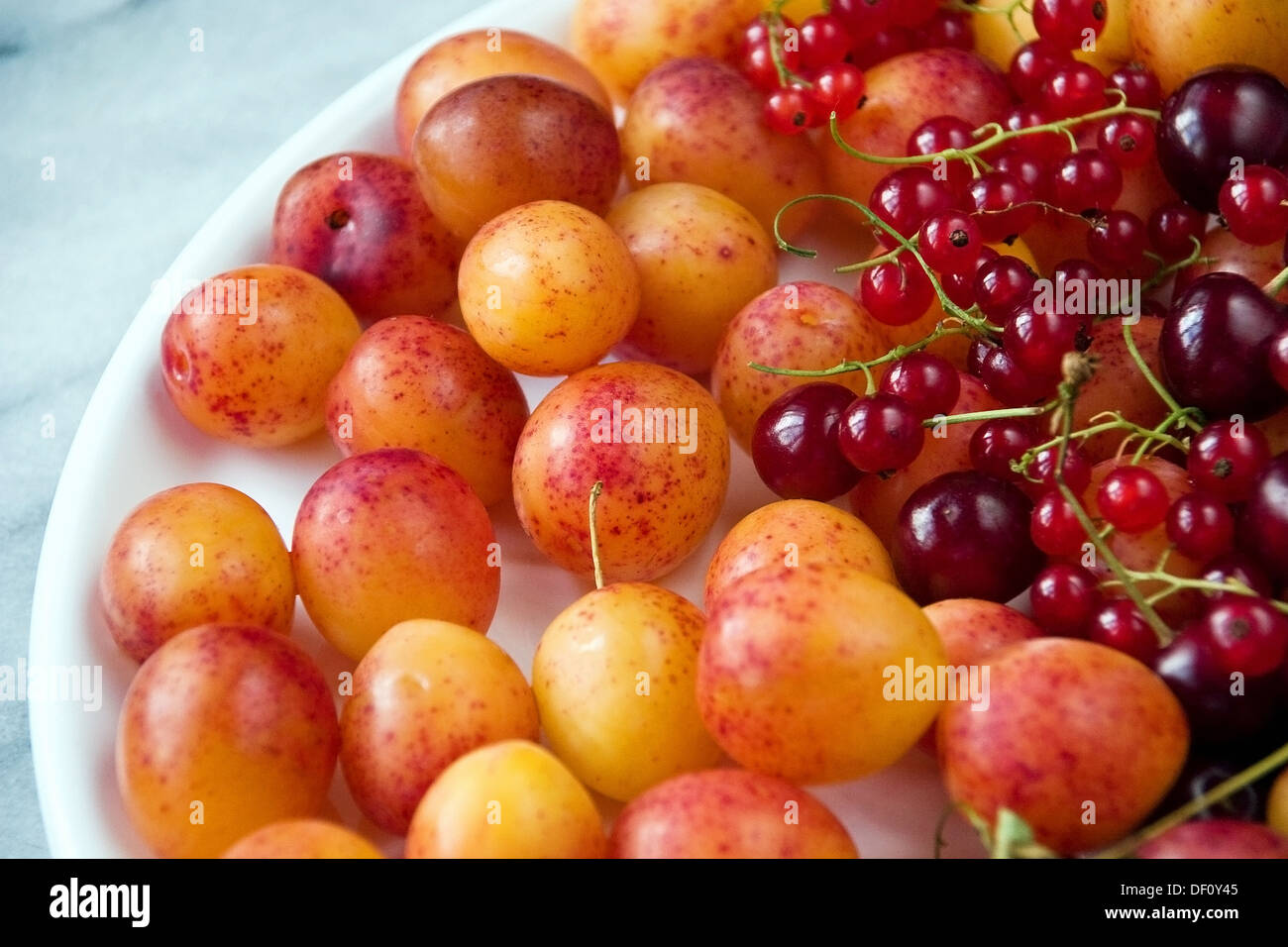 Berlin, Germany, plates with plums, cherries and currants Stock Photo