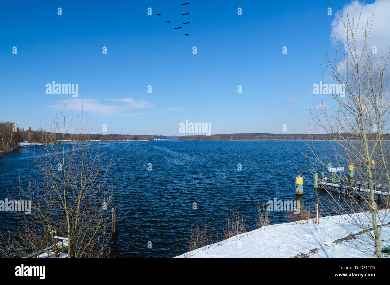 Flying birds over winter lake or river water surface and snowy shore with pier Stock Photo