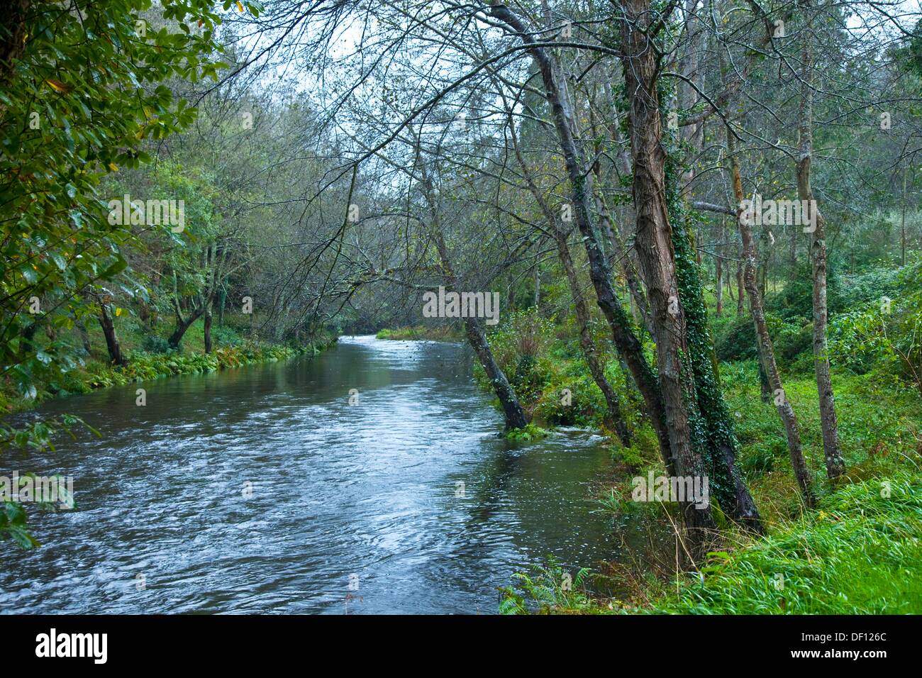 Foto de Fuente de agua en San Tirso de Abres, Asturias