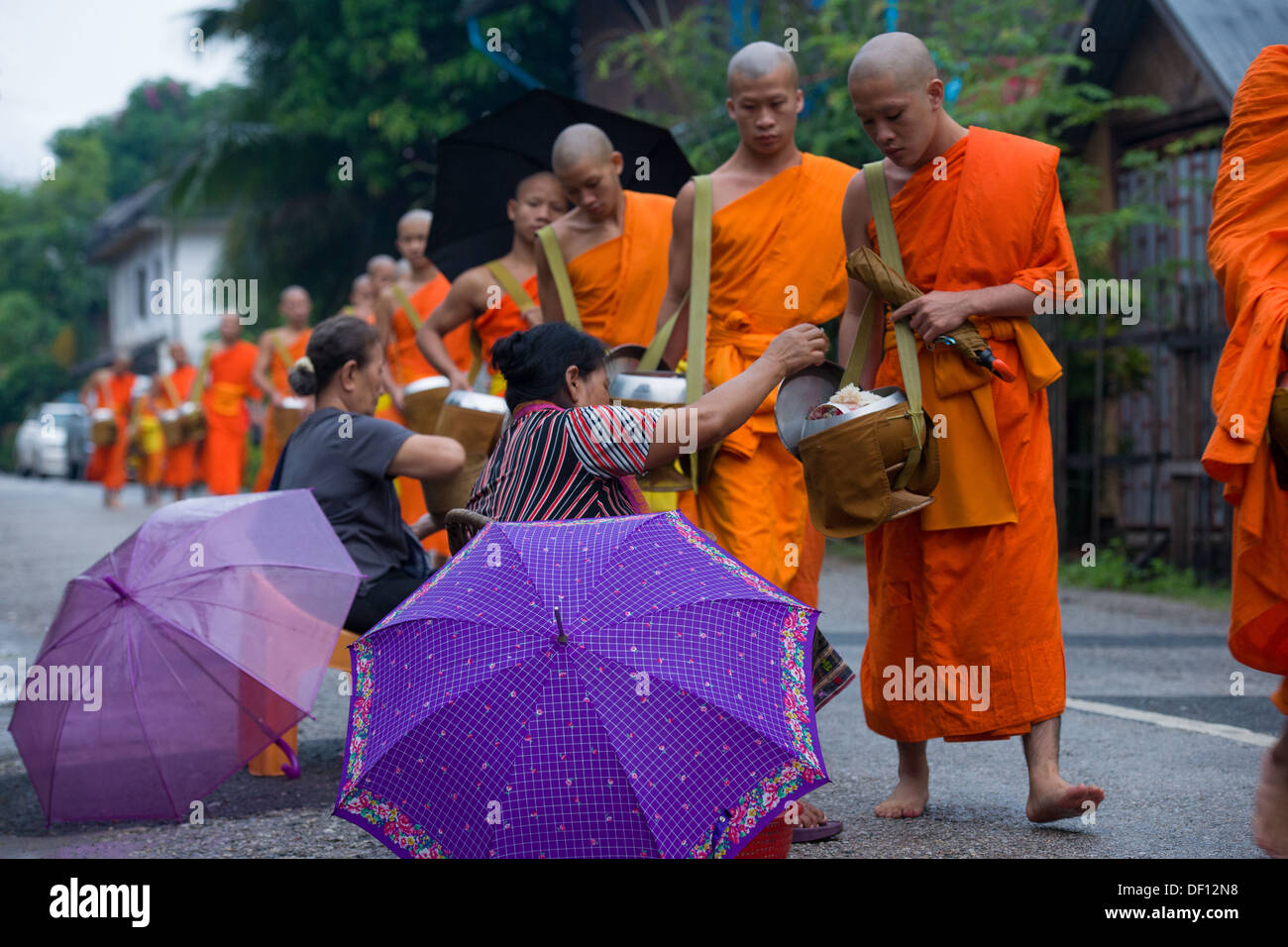Buddhist monks receiving donations on their morning alms round, Luang Prabang, Laos Stock Photo
