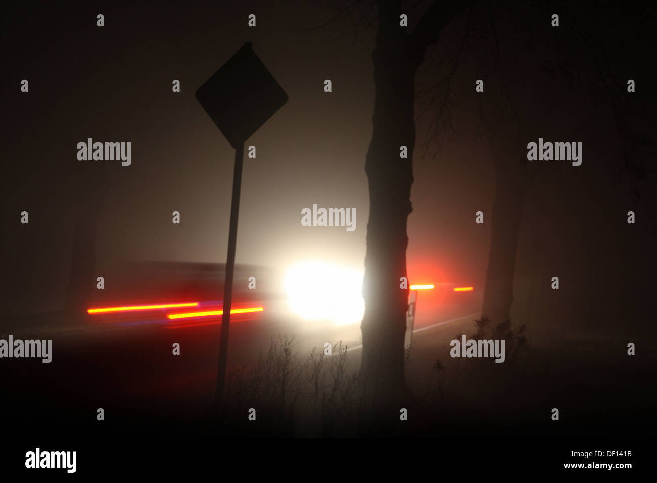 Grossziethen, Germany, car traffic on a country road at night and in fog Stock Photo