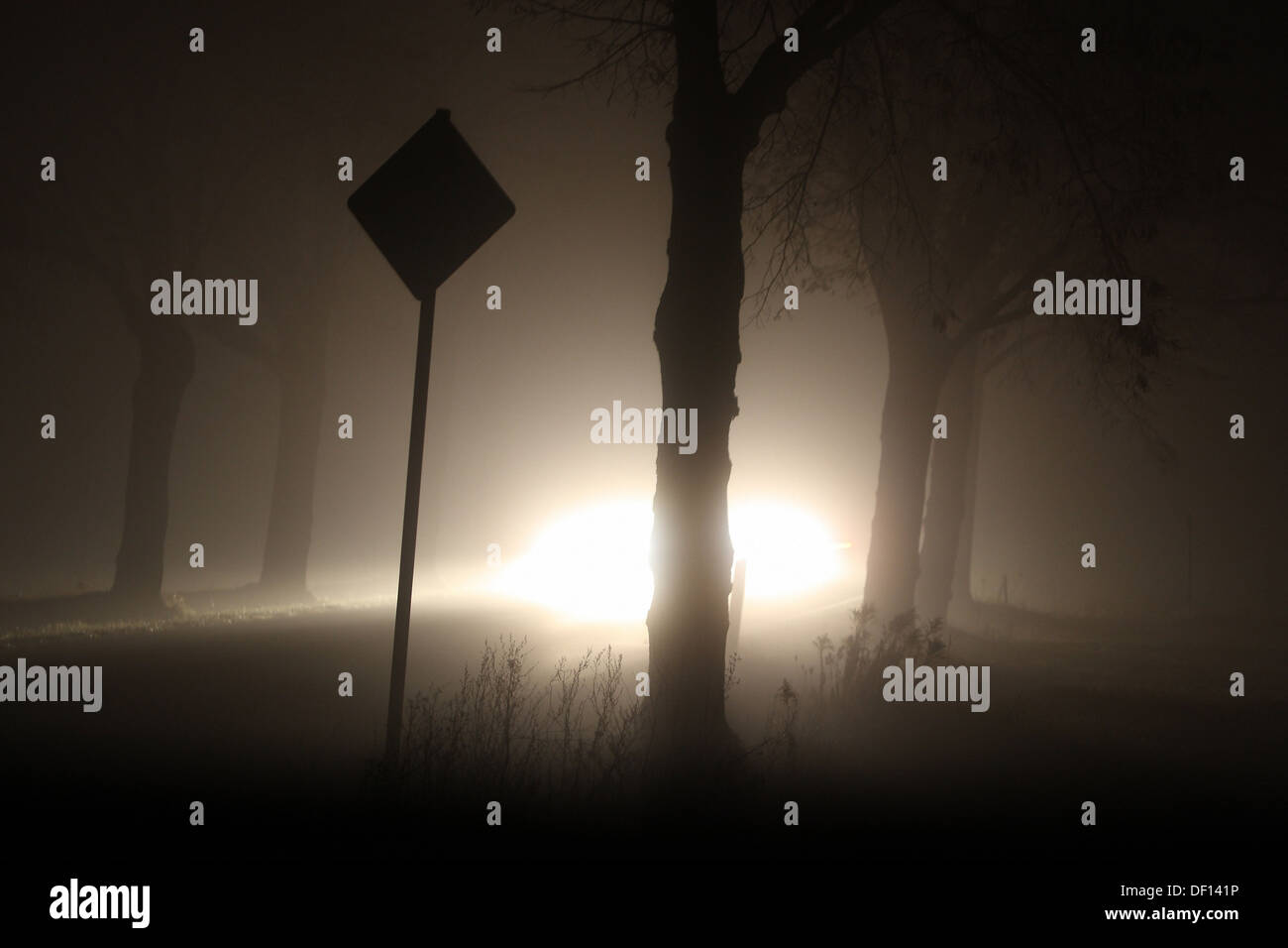 Grossziethen, Germany, car traffic on a country road at night and in fog Stock Photo