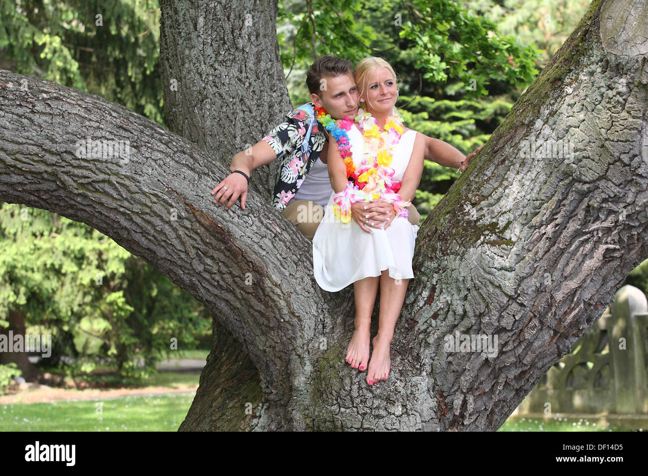 Berlin, Germany, a newlywed bride and groom on a tree Stock Photo