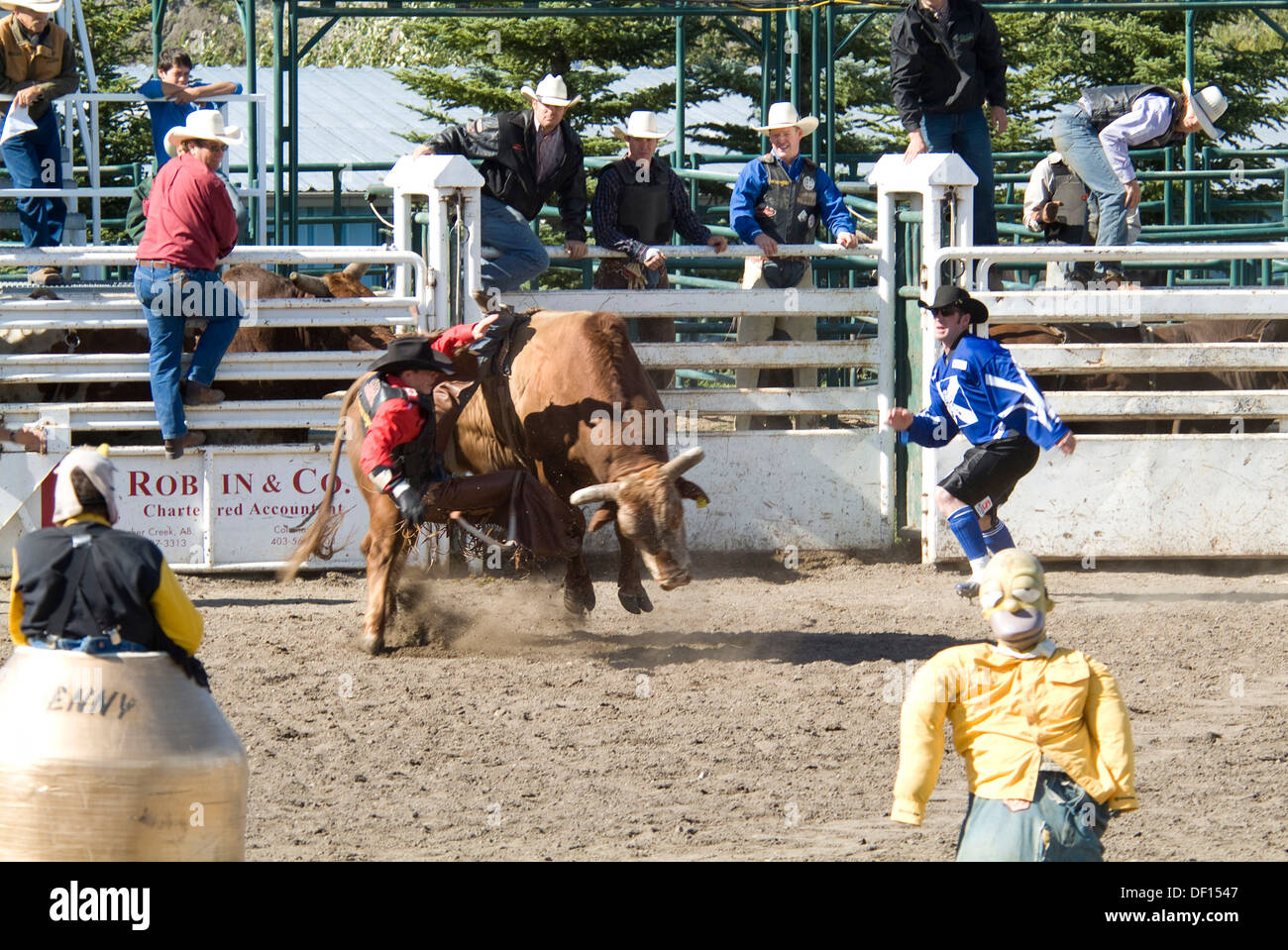 rodeo, Pincher Creek, Alberta, Canada Stock Photo